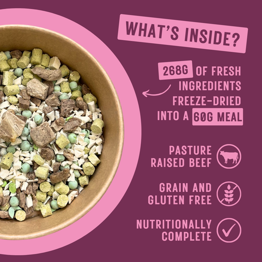 Beef Natural Meal for Dogs (8 units)