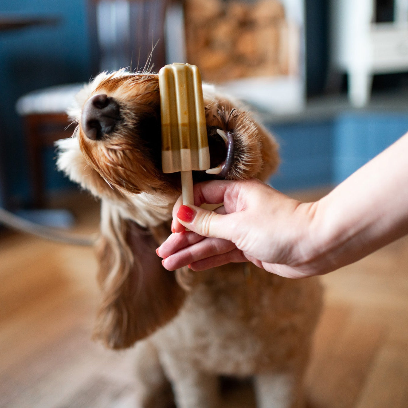 Pup Ice Lollies (25 units) image 3