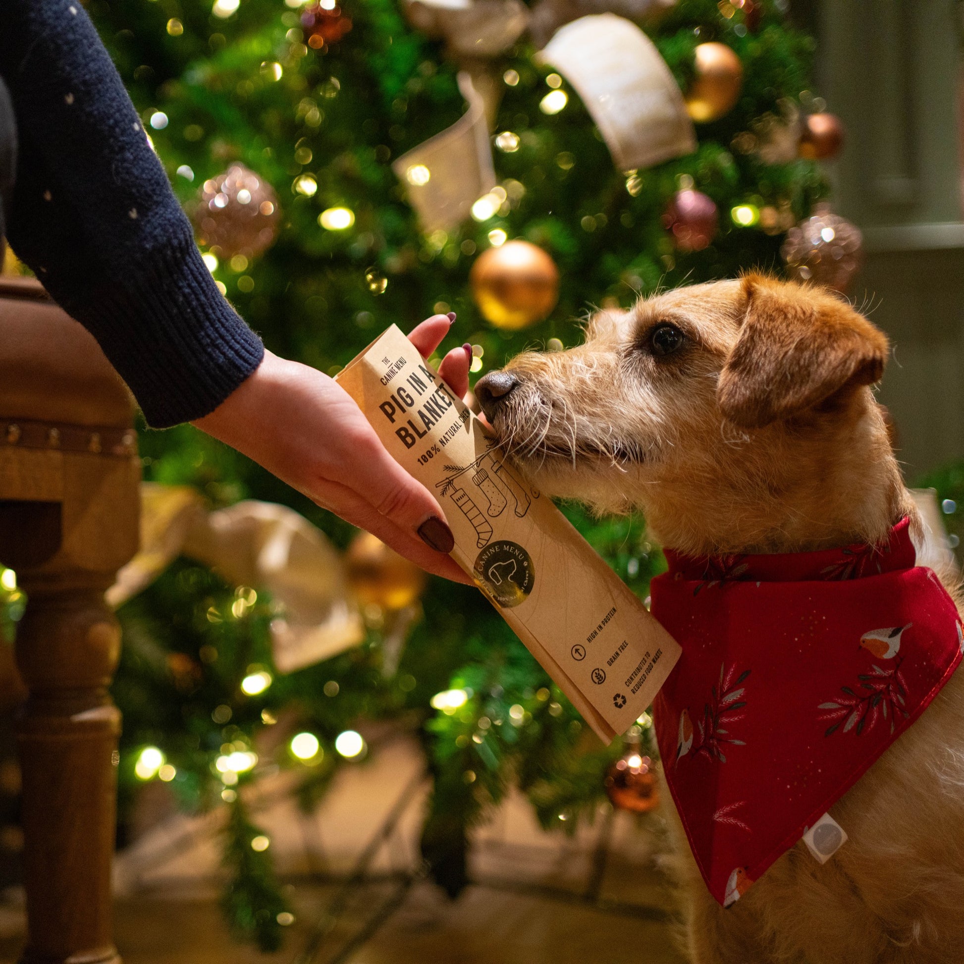 Pig in a Blanket (25 units) image 2