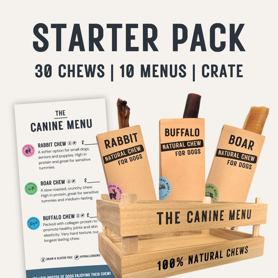 Starter Pack (30 dog chews & crate) image 0