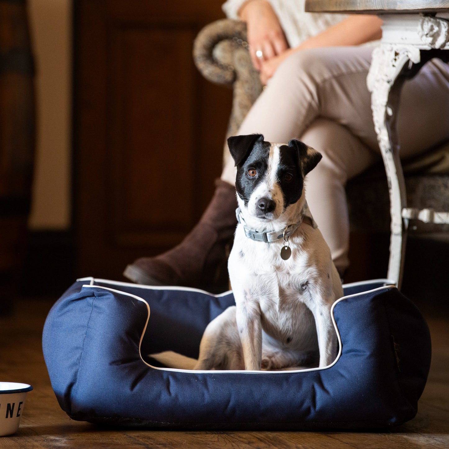 Branded Dog Bed image 0