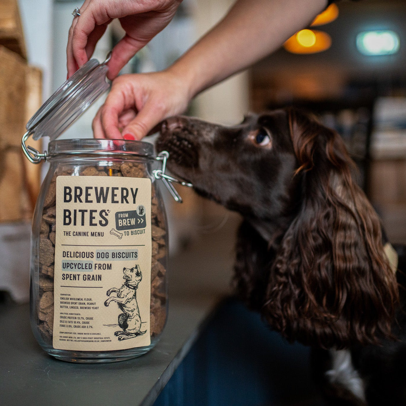 Mega Starter Pack (30 chews, 25 treats, 5kg biscuits, crate & bowl) image 6