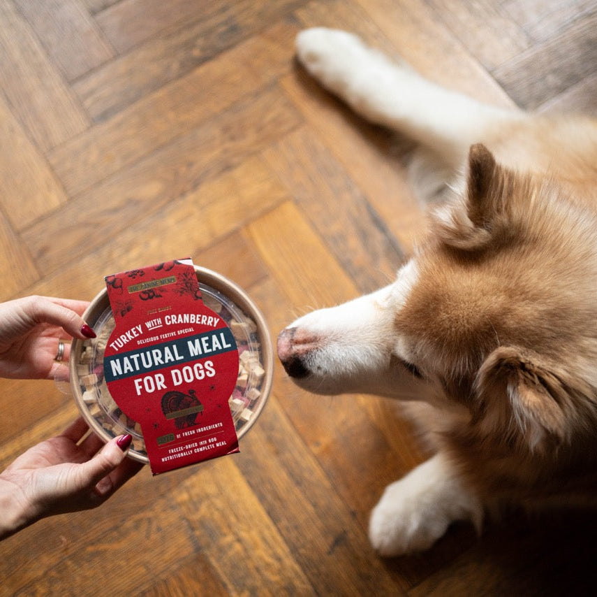 Festive Turkey & Cranberry Natural Meal for Dogs (8 units)