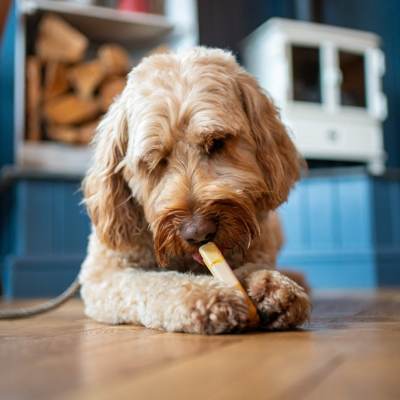 Pup Ice Lollies (25 units) image 4