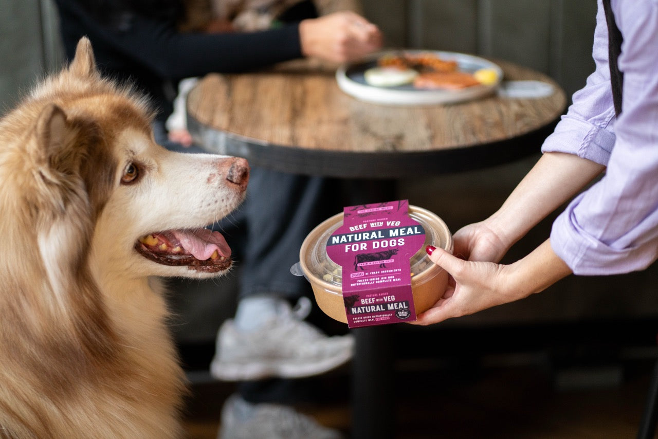 Beef Natural Meal for Dogs (8 units)