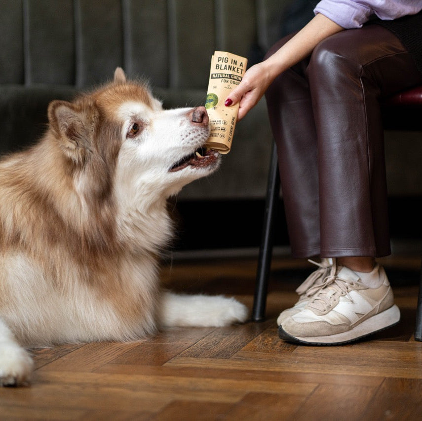 Pig in a Blanket (25 units)