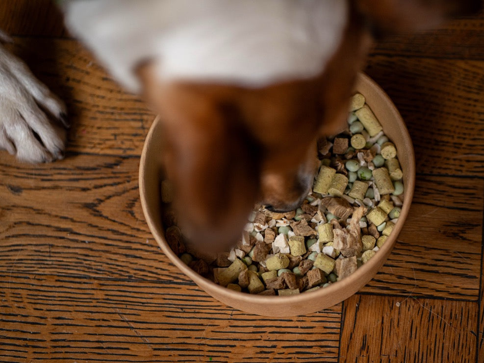 Beef Natural Meal for Dogs (8 units)