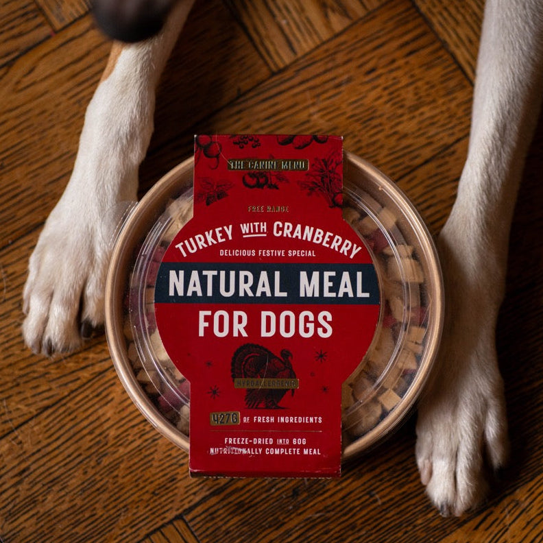 Festive Turkey & Cranberry Natural Meal for Dogs (8 units)